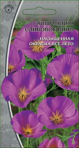 Семена Эшшольция Сливовое вино 0,4 г, фото