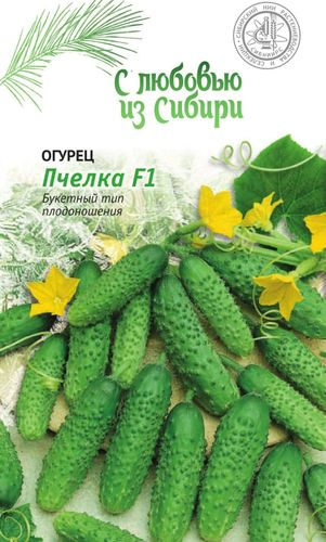 Огурец Пчелка 0,25 гр. цв.п., фото