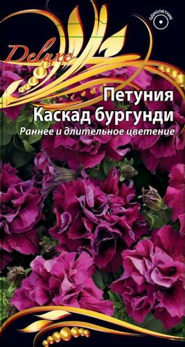 Семена петуния каскад бургунди 10 шт, вид