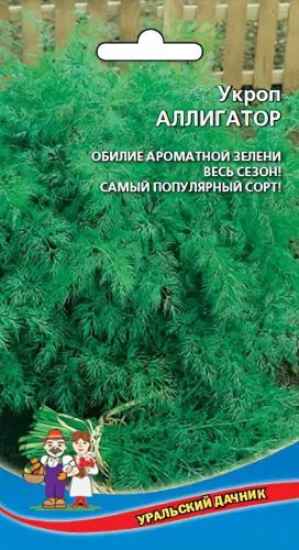 Семена укроп аллигатор 2 г, фото