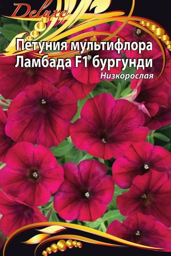 Семена петуния ламбада бургунди 10 шт, фотография