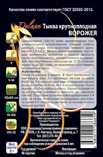 Семена Тыква Ворожея 2 г, крупный план