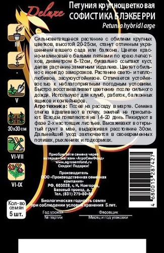 Семена петуния софистка блэкберри 5 шт, изображение