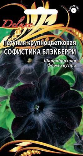 Семена петуния софистка блэкберри 5 шт, крупный план