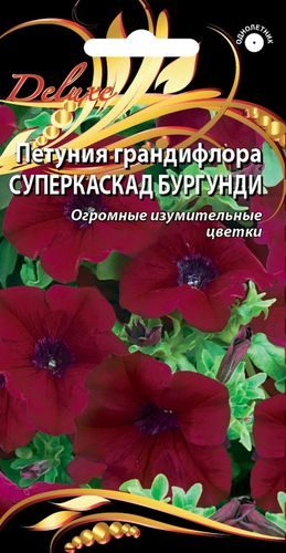 Петуния Суперкаскад Бургунди 10 шт., фото