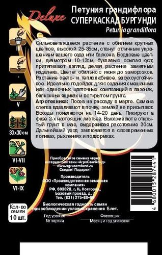 Петуния Суперкаскад Бургунди 10 шт., крупный план
