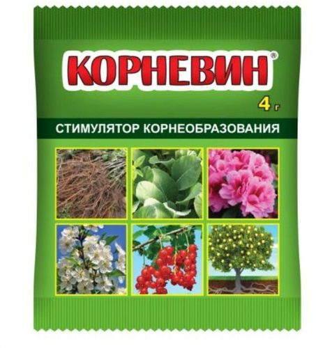 Стимулятор корнеобразования Корневин 4 г, картинка