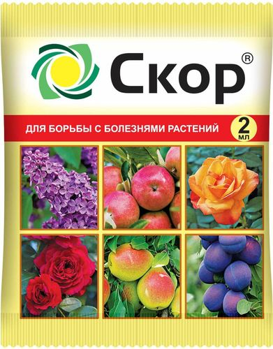 Средство от насекомых Ваше хозяйство Клубнещит 25 мл, изображение
