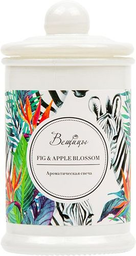 Ароматическая свеча FIG & APPLE BLOSSOMx стекле 60x60x110 мм, вид