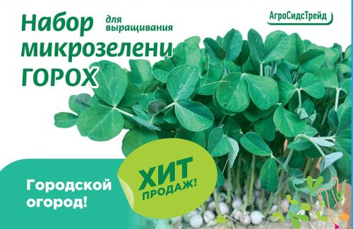 Набор для выращивания микрозелени ГОРОХ 30 г АСТ, изображение