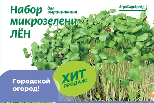 Набор для выращивания микрозелени ЛЁН  5 г АСТ, изображение