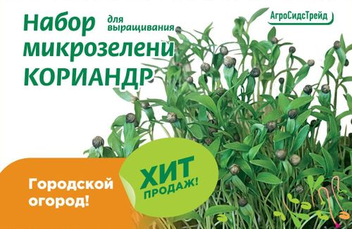 Набор для выращивания микрозелени КОРИАНДР  6 г АСТ, детальное фото
