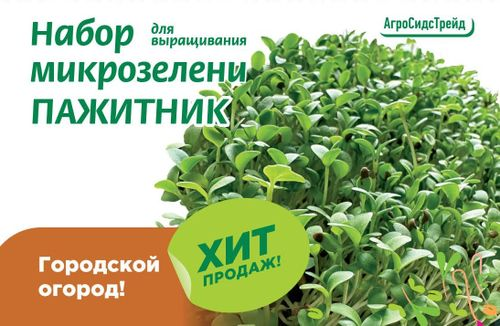 Набор для выращивания микрозелени ПАЖИТНИК АСТ, фотография