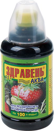 Удобрение Здравень для ягодников и ягодных культур 500 мл, изображение