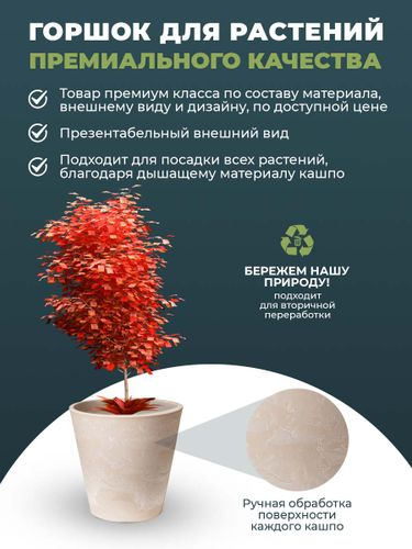 Кашпо для цветов 18 литров с дренажным вкладышем, изготовлено из композитного пластика, цвет бежевый, изображение