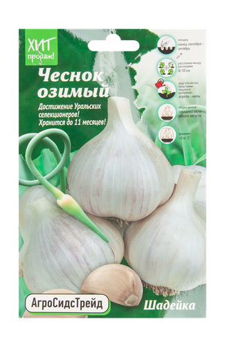 Чеснок Аст Шадейка, 450г, фотография