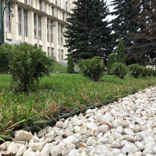 Бордюр садовый Канта Про (KANTA PRO Standartpark) оливковый 10х0,03х0,15 м, крупный план
