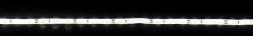 Светодиодная лента IEK SMD 2835 54LED IP65 12В 4,8Вт белый свет 5 м, фотография