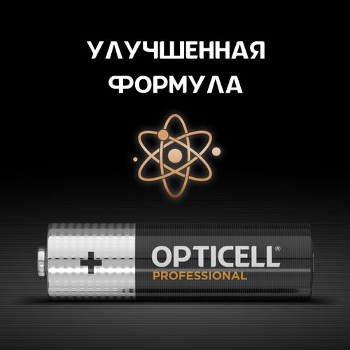 Батарейки алкалиновые 6AA/LR6 Professional Opticell, изображение