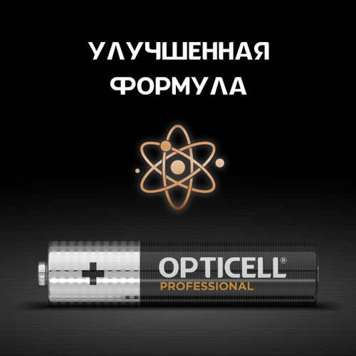 Батарейки алкалиновые 12AAA/LR03 Professional Opticell, изображение