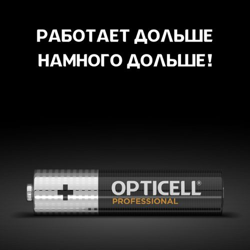Батарейки алкалиновые 12AAA/LR03 Professional Opticell, фотография
