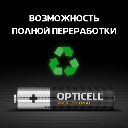 Батарейки алкалиновые 12AAA/LR03 Professional Opticell, фотография