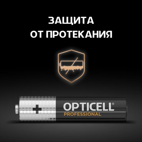 Батарейки алкалиновые 12AAA/LR03 Professional Opticell, фото