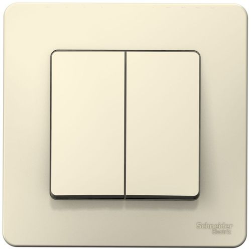 Выключатель 2-клавишный Schneider Electric BLANCA молочный, фото