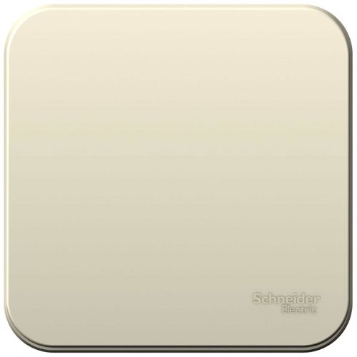 Выключатель 1-клавишный Schneider Electric BLANCA BLNVA101012 молочный, фото