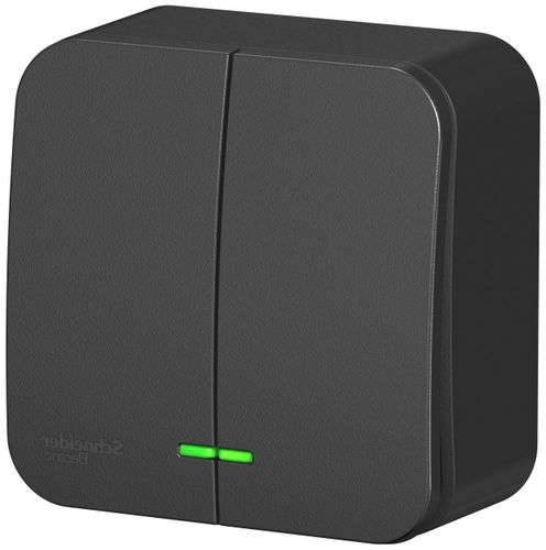 Выключатель 2-клавишный Schneider Electric BLANCA BLNVA105116 антрацит, детальное фото