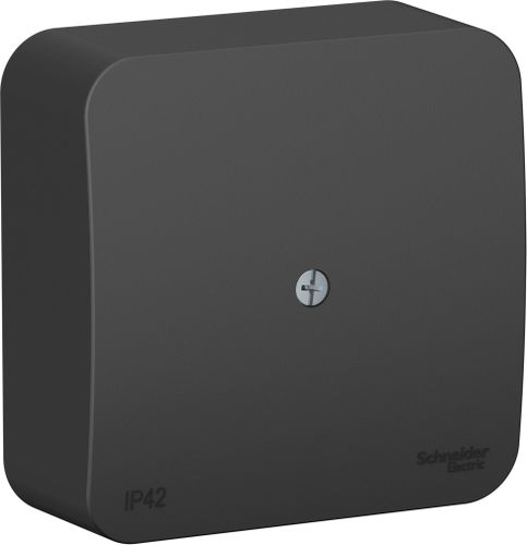 Распределительная коробка Schneider Electric Blanca 2 ввода 75x75 мм антрацит, крупный план