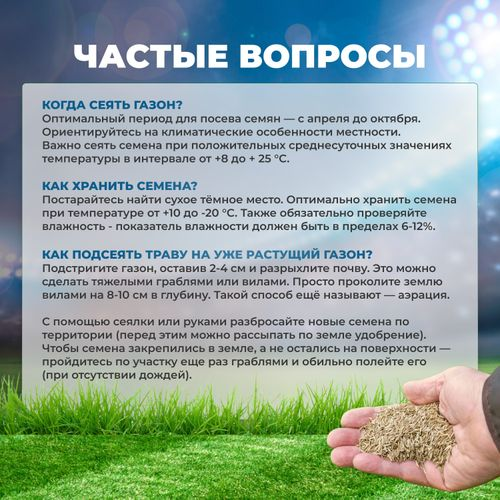 Газонная трава Спортивная Сила Суздаля 5 кг, картинка