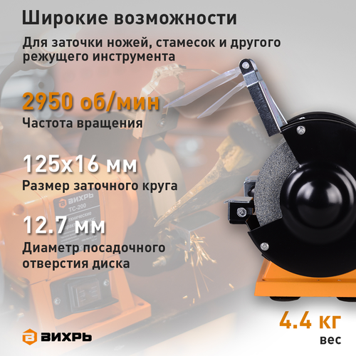 Точильный станок ВИХРЬ (72/7/1) ТС-150, вид