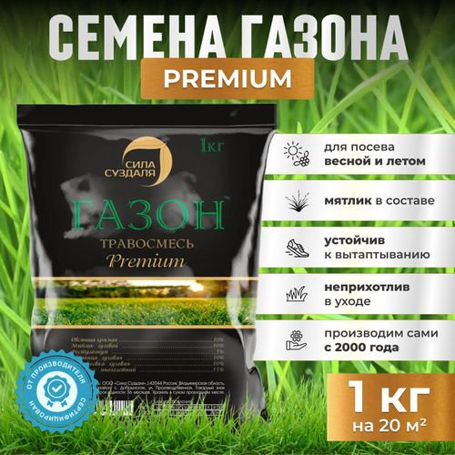 Газон Premium  Сила Суздаля 1 кг, крупный план