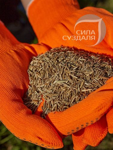 Газон Premium  Сила Суздаля 500 г, детальное фото