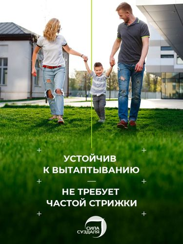 Газон Premium  Сила Суздаля 500 г, фотография