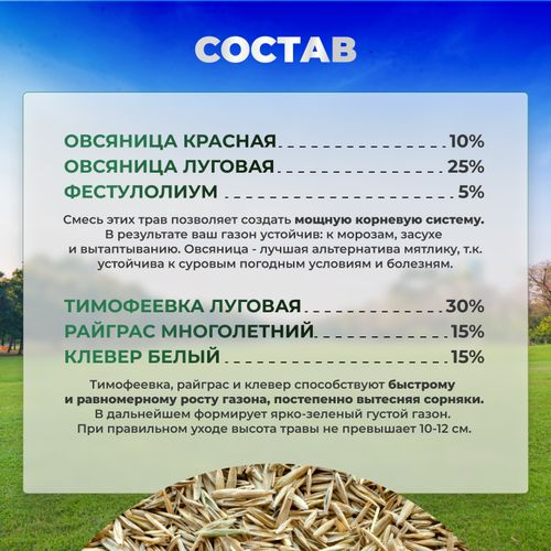 Газон Низкорослый Сила Суздаля 1 кг, фото