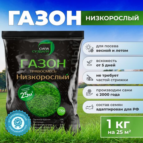 Газон Низкорослый Сила Суздаля 1 кг, картинка