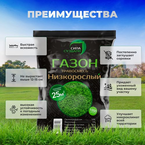 Газон Низкорослый Сила Суздаля 1 кг, фотография