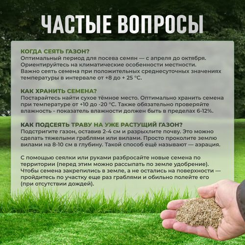 Газон Premium Сила Суздаля 3 кг, вид