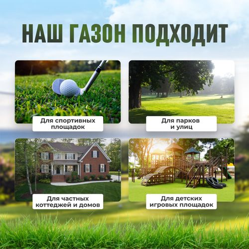 Газон Premium Sport Сила Суздаля 3 кг, фотография