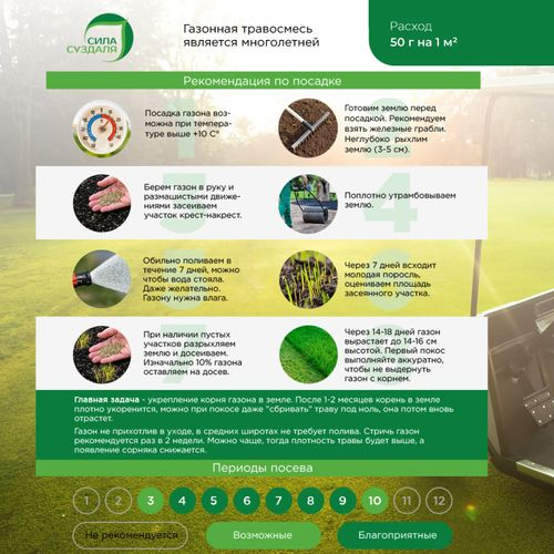 Газон Premium Sport Сила Суздаля 3 кг, вид
