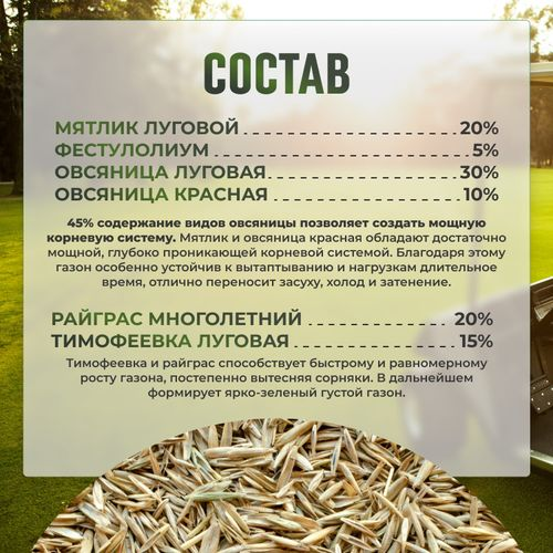 Газон Premium Sport Сила Суздаля 3 кг, детальное фото