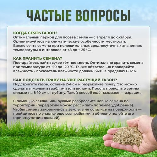 Газон Premium Sport Сила Суздаля 3 кг, крупный план