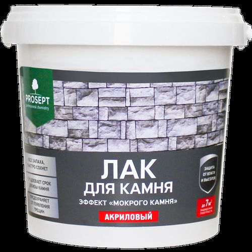 Лак PROSEPT Для камня, от плесени и мха 0,9л, крупный план