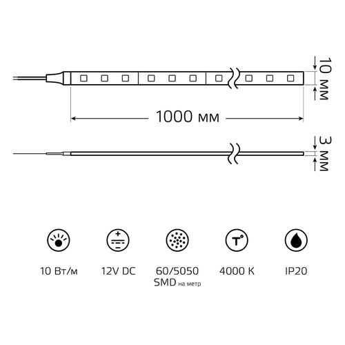 Лента GAUSS Basic LED 5050/60 12v 10w/m 700lm/m 4000k 10mm ip20 1m, крупный план