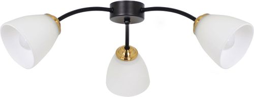 Люстра Нежность 3х60W E27 220 V, изображение