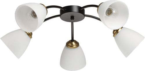 Люстра Нежность 5х60W E27 220 V, вид