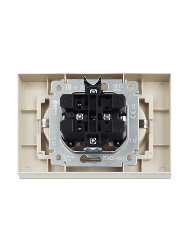 Розетка электрическая IEK BRITE BR-R24-16-K10-F бежевый, вид