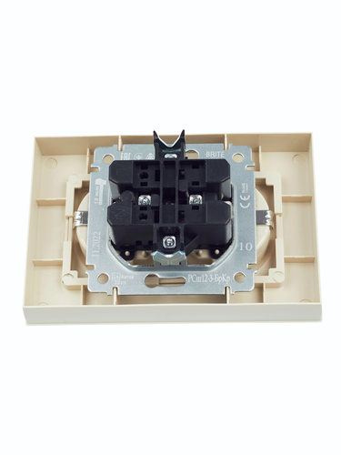 Розетка электрическая IEK BRITE BR-R24-16-K10-F бежевый, вид
